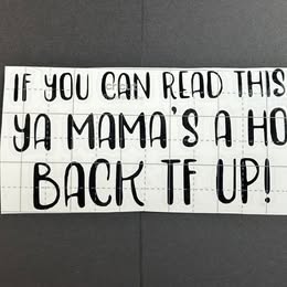 "IF YOU CAN READ THIS..." Funny Bumper Sticker / Sarcastic Vinyl Decal