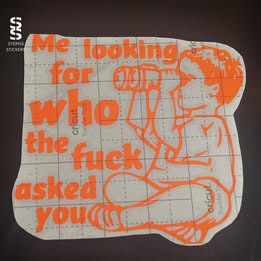 Who the F*** Asked You – Funny Sarcastic Vinyl Decal