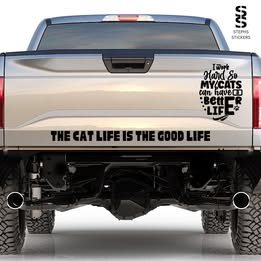 “I Work Hard So My Cats Can Have a Better Life” – Handmade Vinyl