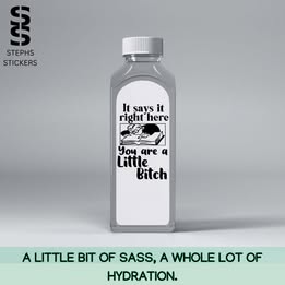 You Are a Little Bitch – Funny Handmade Vinyl Decal
