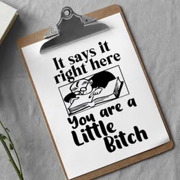 You Are a Little Bitch – Funny Handmade Vinyl Decal
