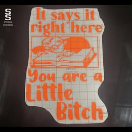 You Are a Little Bitch – Funny Handmade Vinyl Decal