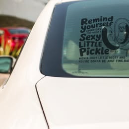 Sexy Little Pickle Vinyl Decal – Funny Self-Love Sticker