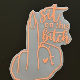 "Sit on This Bitch" Middle Finger Vinyl Decal | Edgy & Sarcastic Sticker