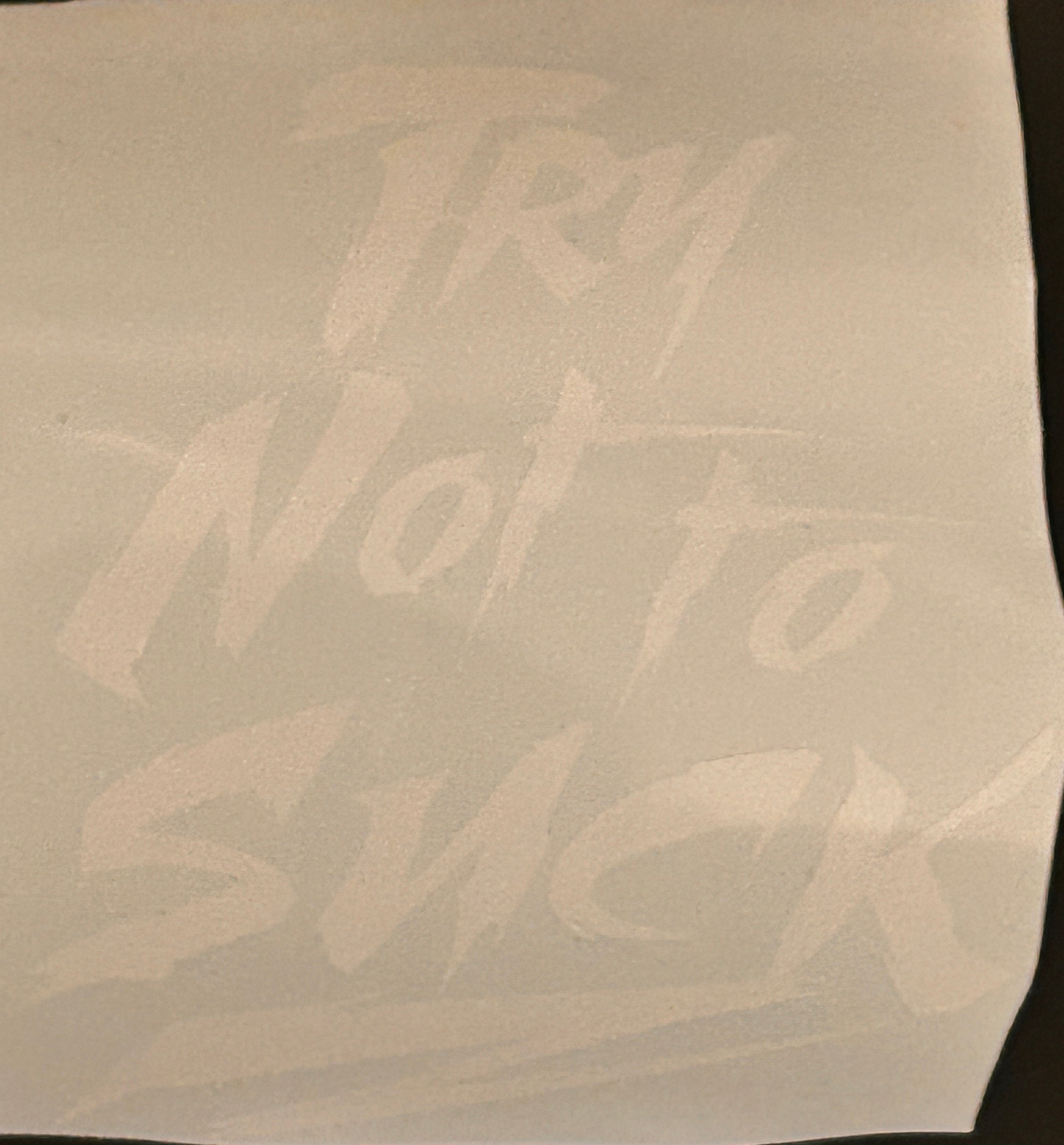 "Try Not To Suck" Motivational Sarcastic Vinyl Decal
